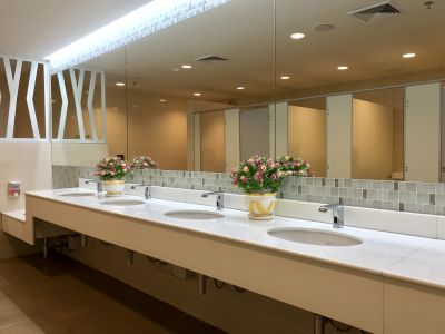 Elegant Vanity Spaces